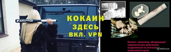 амф Каменка