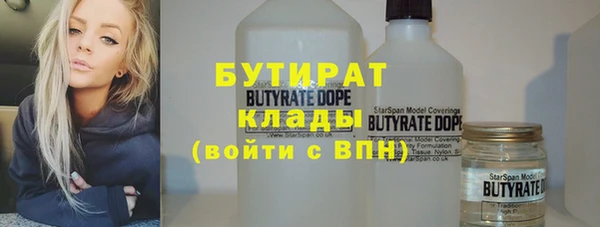 амф Каменка