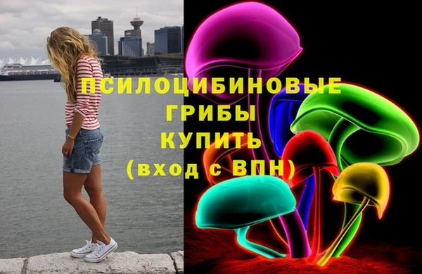 амф Каменка