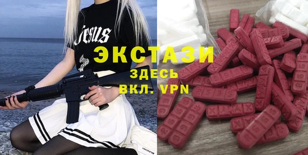 амф Каменка