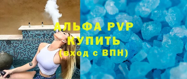 амф Каменка